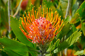 Biodiversity is built on stable ground