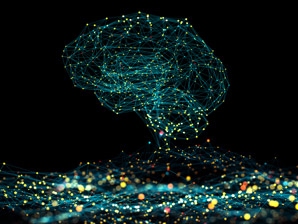 Dopamine neurons aid decision making