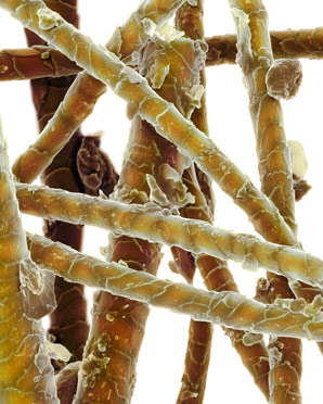 Wool-like material springs back to its initial shape