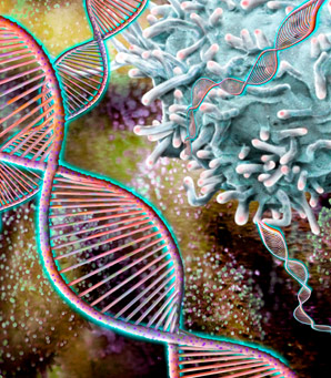 Immune repertoire revealed