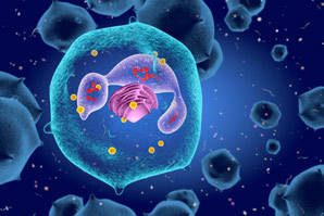 Designer exosomes treat sepsis in mice