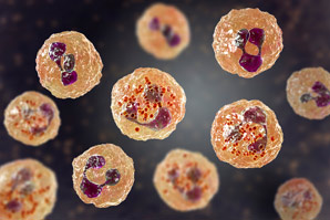 Lipid droplets hold bacteria-fighting powers