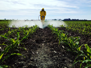 Shape-shifting insecticide