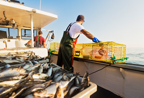 Endangered fishes on our dishes