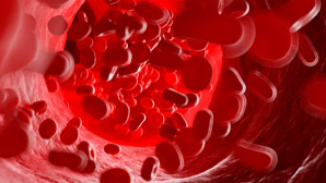 How blood vessels feel the pressure