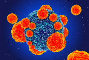 A new target for cancer immunotherapy