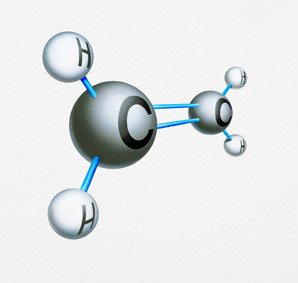 Planting seeds for renewable chemical production