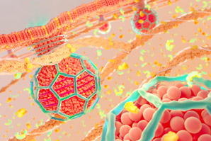 Uncapping the mystery of an actin regulator
