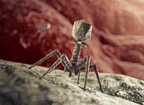 Exotic viral chemistry explained