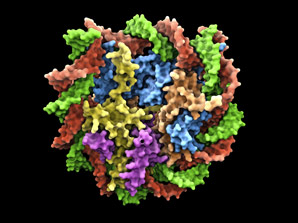 DNA wrap videos