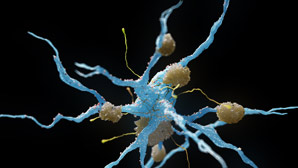 Prion-like protein forms fibrils in solution