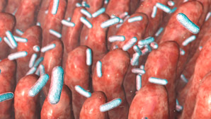 A gut reaction to microbial metabolites