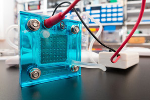 The nitrogen atoms that matter in fuel cell catalysts
