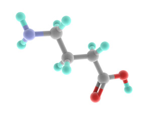 Neurotransmitter regulates the biological clock