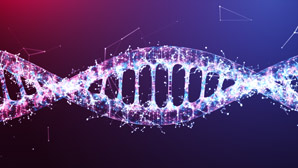 How 3D genome structures take shape
