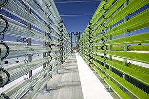 Carbon capture in net-zero efforts