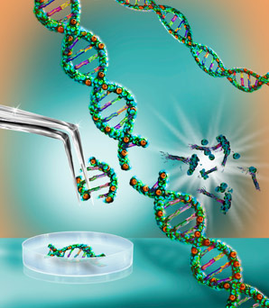 Small CRISPR, big potential