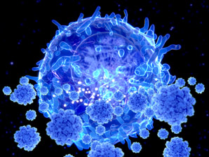 Functional T cells needed to fight COVID-19