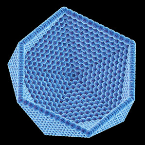 Analysing the shapes of viruses