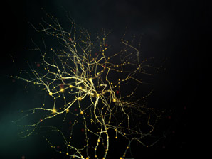 Neurotransmitters stop at a blue light
