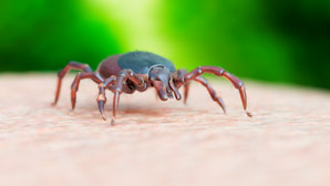 New anticoagulants discovered from tick saliva