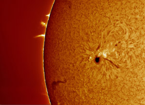 Large-scale oscillations in sunspots spotted 