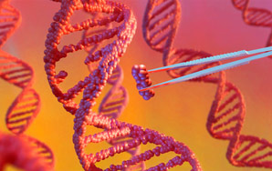 Proofing gene editing helps avoid unintended mutations