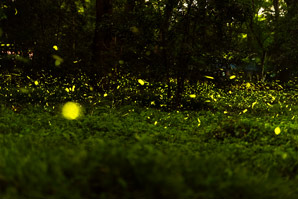 Making toxic pesticides to glow in the dark