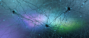 Brain-inspired stashing system slashes AI energy consumption