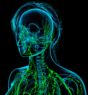 Gene responsible for lymphatic system disorder found