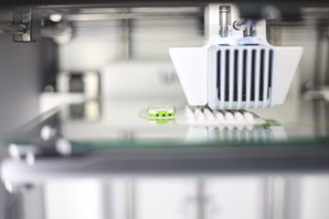 Making 3D functional materials by copying nature