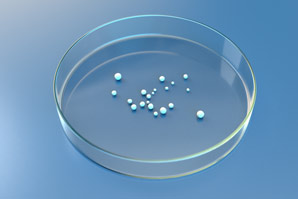 Miniature brains now come with blood vessels