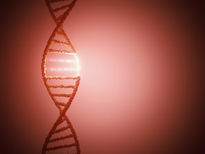 Extending editing of mitochondrial DNA