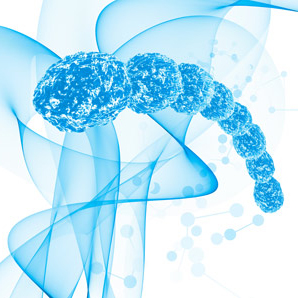 How cells pump ions
