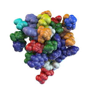 Imaging slower moving molecules in biopolymers