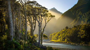 New land target for safeguarding biodiversity