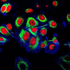 Heating subcellular spots in cells