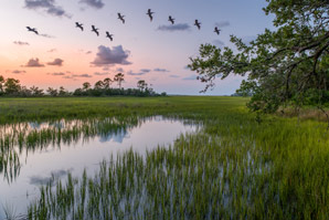 Curbing greenhouse-gas emissions from wetlands