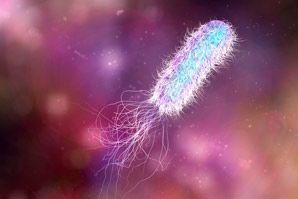 A reliable method for finding bacterial fingerprints