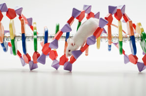 Fast-tracking efforts to determine gene function