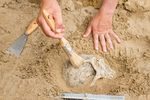 Amputation goes back 31,000 years