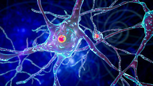 Illuminating Huntington’s disease