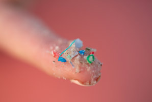 Microplastics’ viral threat