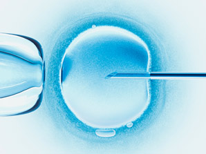 Why most IVF embryos stop dividing