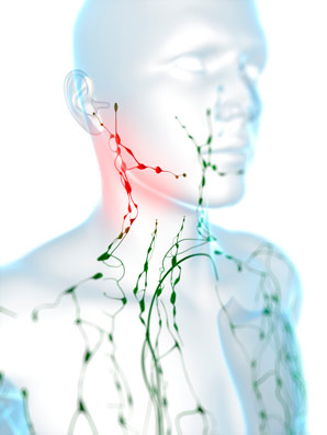 Mapping cells involved in blood cancers