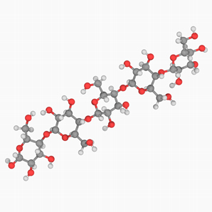 How cellulose nanocrystals interact with water