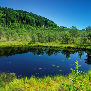 Small lakes are big emitters of greenhouse gases