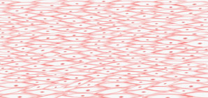 Artificial muscle mimics human muscles