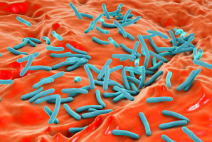 Finding tuberculosis’ weak spots