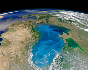 Algal blooms increasing with rising sea temperatures